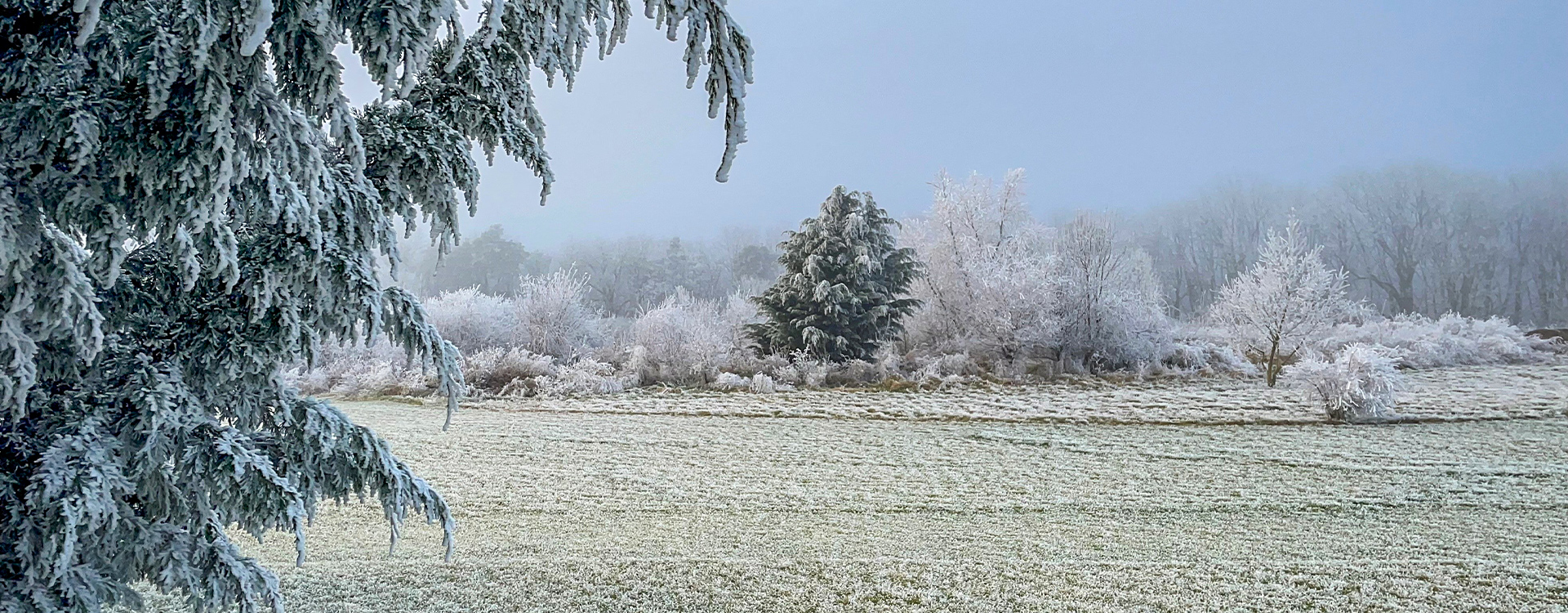Golf Club der Thüringer Landeshauptstadt Erfurt