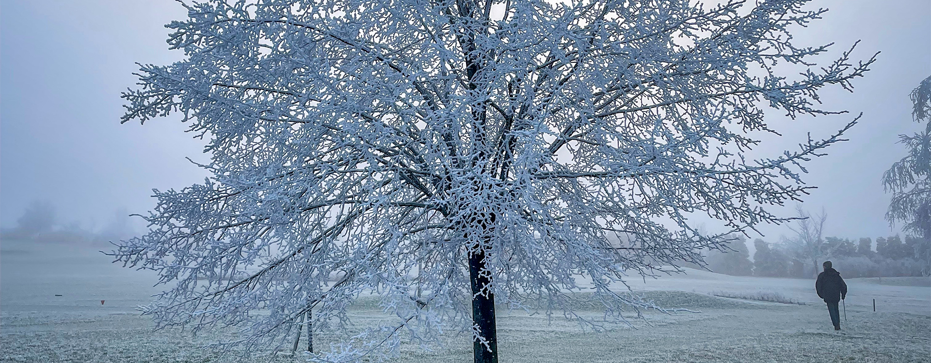 Winter im Golfplatz Erfurt