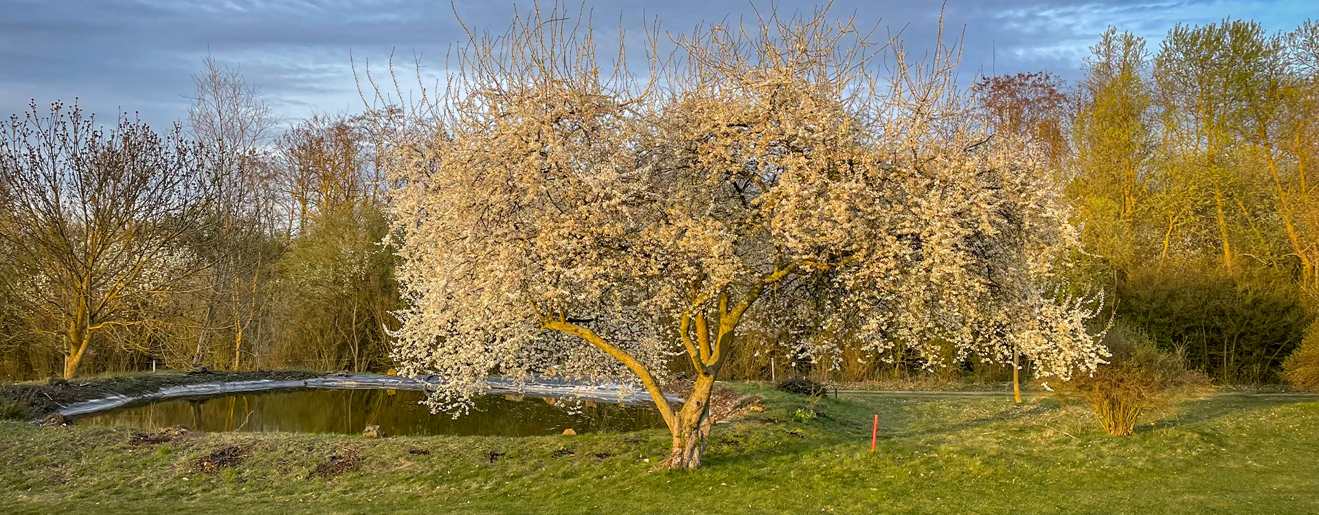 Golf Club der Thüringer Landeshauptstadt Erfurt