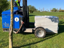Galerie - Bild des Golf Club Erfurt e.V.