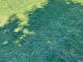 Galerie - Bild des Golf Club Erfurt e.V.