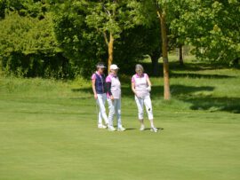 Galerie - Bild des Golf Club Erfurt e.V.