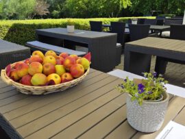 Galerie - Bild des Golf Club Erfurt e.V.